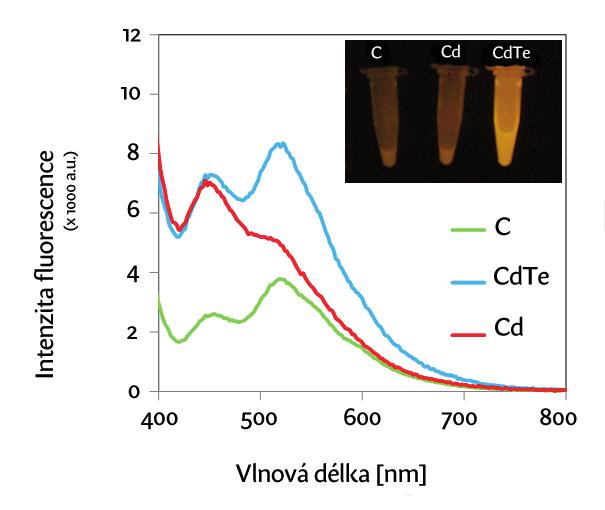 Laboratory reports 69 Příprava nanočástic kvantových teček v terestrických organismech Markéta Komínková 1, Ondřej Zítka 1,2, René Kizek 1,2 1 Ústav chemie a biochemie Agronomická fakulta, Mendelova