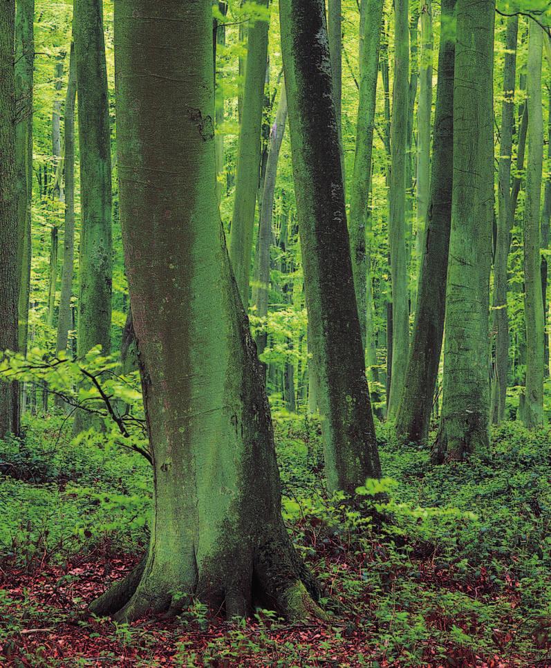 Vykurovacie