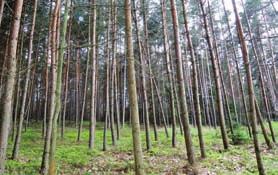 900,- Kč /m 2 STAVEBNÍ POZEMEK PRO RD KYŠICE U PLZNĚ inženýrské sítě v