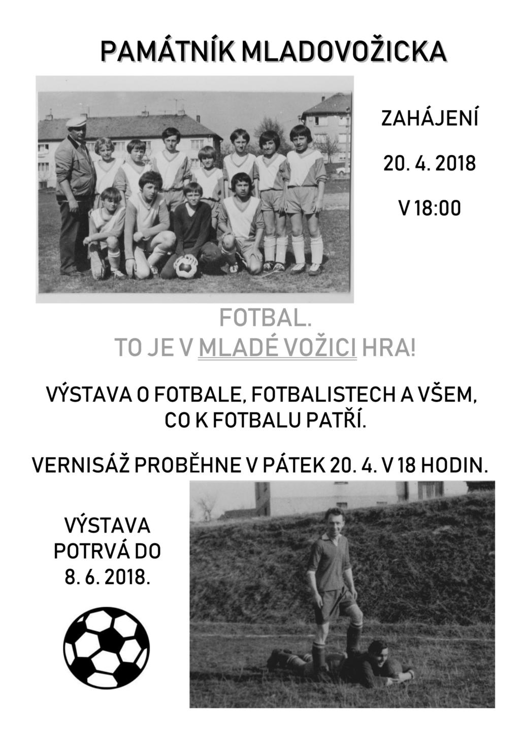 Marie Houdková Noskov 86 let Jarmila