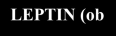 LEPTIN (ob-protein) Secernován adipocyty do krve Vazebné proteiny Účinek na CNS (regulace tělesné hmotnosti a stálosti tukové hmoty těla) Sérové hladiny mají pulzativní a diurnální charakter Forma