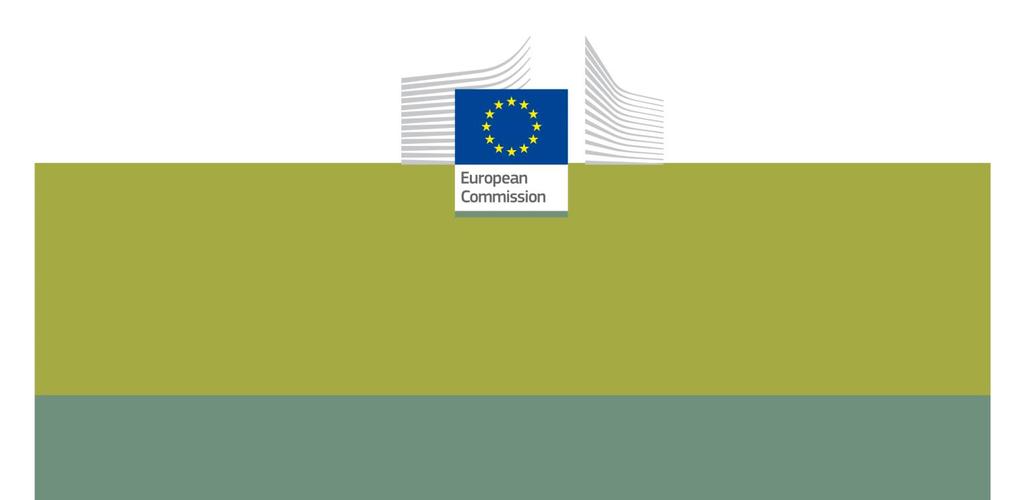 Systémy vzdělávání advokátů v EU Severní Irsko Informace poskytla: Právnická společnost Severního Irska (The Law Society of Northern Ireland) duben, 2014 POPIS VNITROSTÁTNÍHO SYSTÉMU ODBORNÉ PŘÍPRAVY