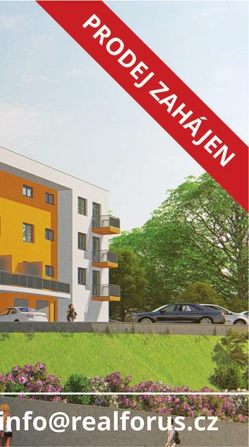 ČÍSLO 17 I 3 Vernisáž výstavy Vysočina v obrazech autorky Heleny Puchýřové se uskutečnila v pátek 12. října v Galerii Jonáš v Blansku.