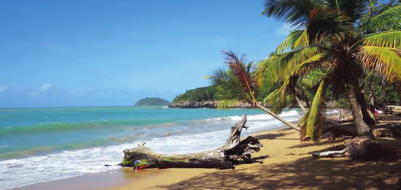 Guadeloupe, Svatá Lucie, Martinik - letos prodloužené o 1 den - Tři nádherné východokaribské ostrovy, Guadeloupe, Sv.