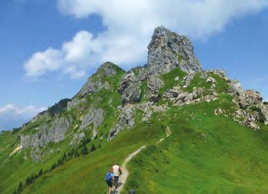 Přejezd do obce Bílka, výstup na Milešovku (837 m, zdarma), přejezd do východní části oblasti do obce Úštěk.