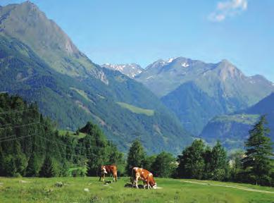 Butovice ve 23:30, jízda přes noc do hor Východního Tyrolska (Osttirol) 2.den: K tunelu Felbertauern, parkoviště u Tauernhaus (1512).