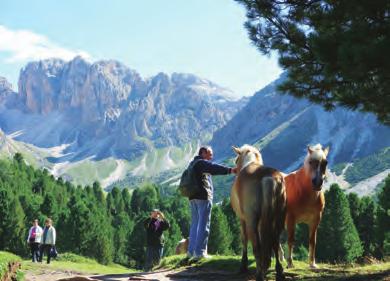 bizarní skála pod Col de la Pieres pod věžemi Geisleru DOLOMITY XI - severní a centrální Dolomity - Zájezd opět nabízí 4 dny nádherného turistického programu, s mnoha různými variantami stejně jako