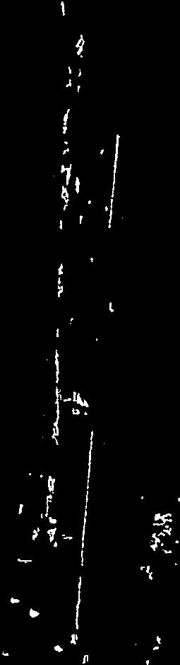 (4 at