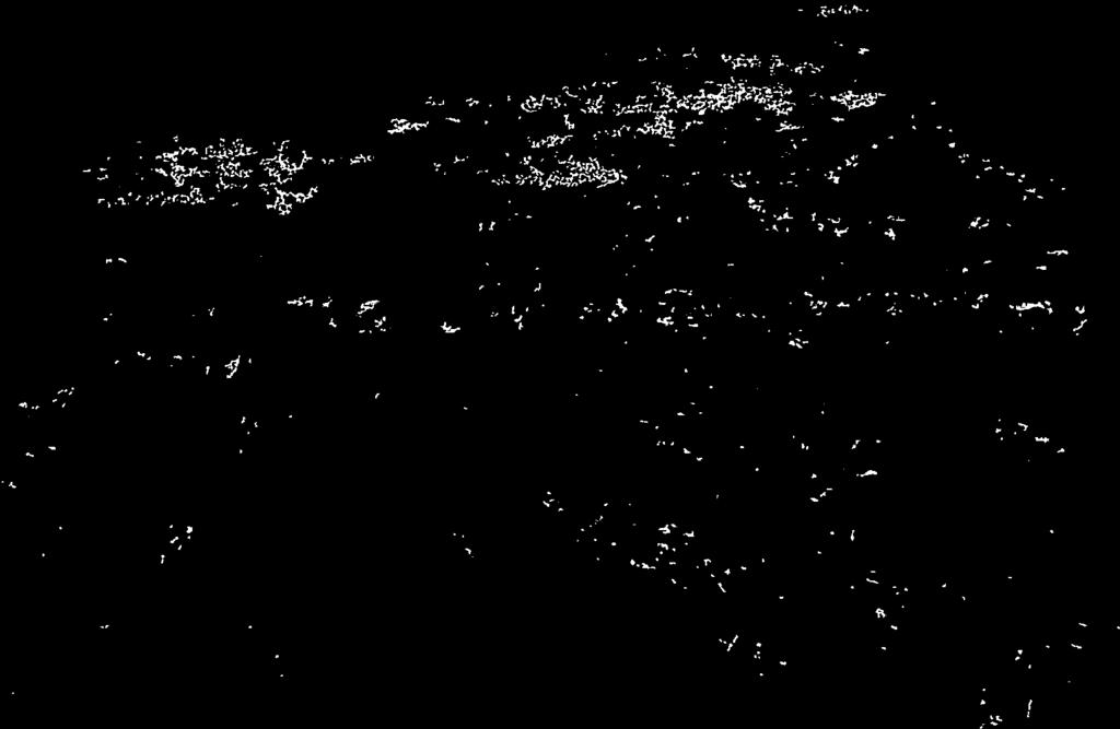 ti. -J b