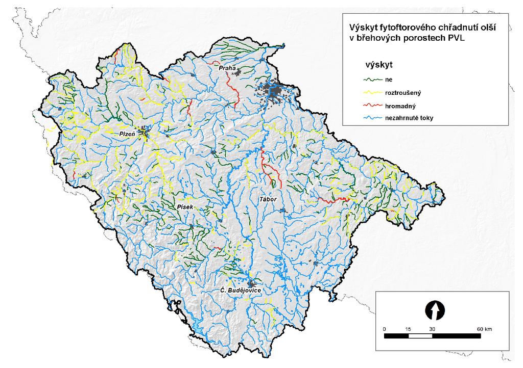 Obr. 1. Výskyt fytoftorového chřadnutí olší v břehových porostech povodí Vltavy (sběr dat PVL, s.p.); ukázka dílčího mapového výstupu C001/B.