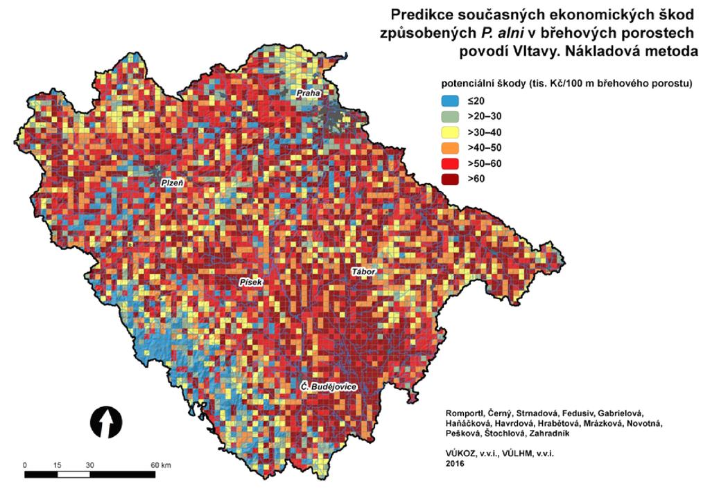 těchto predikovaných oblastí olše z velké části už vymizely (dolní Lužnice, Berounka, částečně Sázava) nebo se zde olše v důsledku antropogenních zásahů ve větší míře již nevyskytují (Vltavská