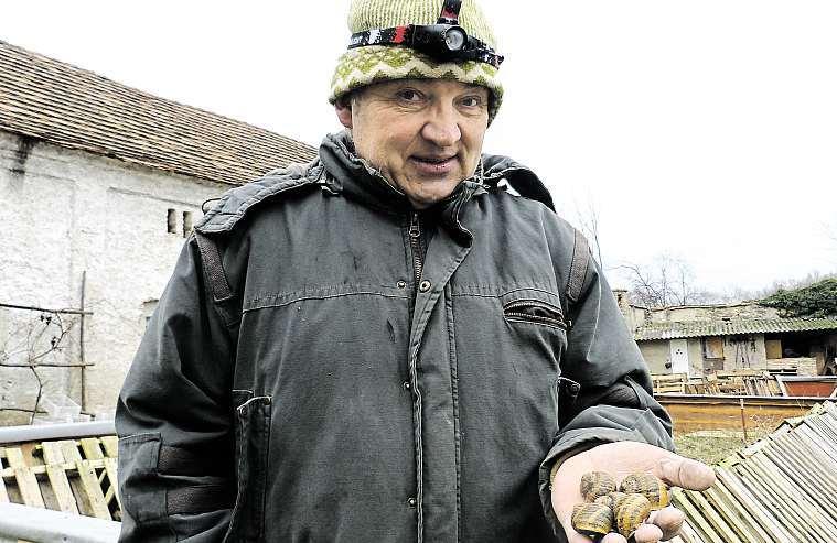 Tam chtějí rovnou tuny, plné kamiony. Vtomhle směru je obrovská konkurence z Polska, tam chovatelé dostávají inějaké dotace. Možností jee-shop, kontakty nahotely, restaurace, cateringové firmy.