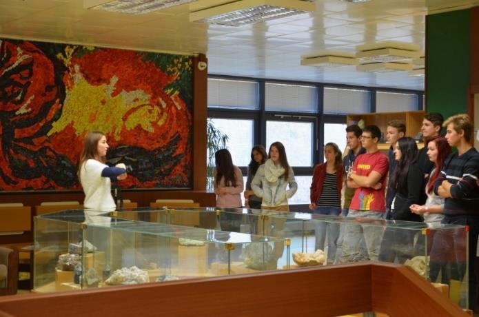 - tvorba projektu: Vliv životního prostřední na