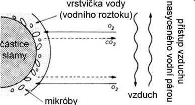 Vlhkost