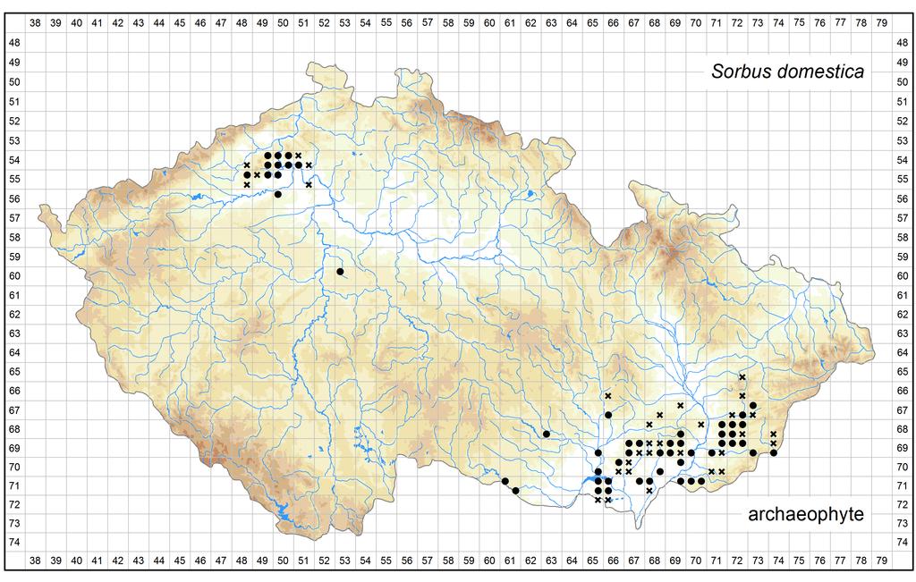 Distribution of Sorbus domestica in the Czech Republic Author of the map: Martin Lepší, Petr Lepší, Zdeněk Špíšek, Karel Kubát Map produced on: 11-11-2016 Database records used for producing the