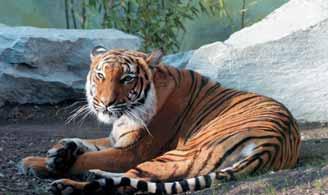 5 Zoo Ústí nad Labem Zoologická zahrada Ústí nad Labem vznikla v roce 1908 jako soukromá ptačí rezervace, kterou založil ústecký obchodník a vášnivý ornitolog Dr. Heinrich Lumpe.