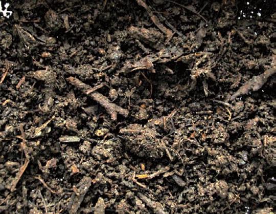 TÉMA NOVÉ TECHNOLOGIE PRO ODPADY Kompost tak, jak ho známe Kompost po karbonizování na biouhel Vlastní proces termochemické přeměny biomasy na uhel je označován jako suchá destilace či karbonizace.