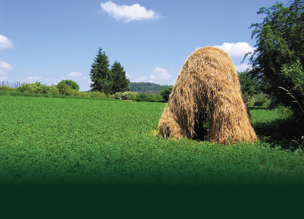 VÝROČNÍ ZPRÁVA 2006 STRUČNÉ