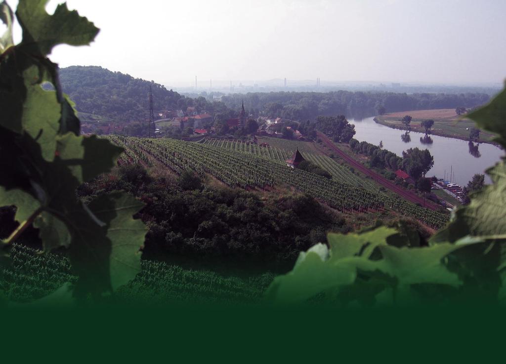 VÝROČNÍ ZPRÁVA 2006