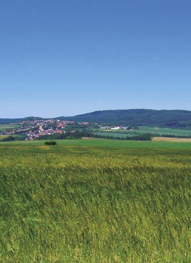 SZIF - VÝROČNÍ