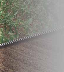 13) Dávkování 0,44 l/ha 300 l/ha vody Odstup srážek od aplikace 1,5 hodiny při postemergentní aplikaci Maximální počet aplikací v plodině 1 Balení HDPE
