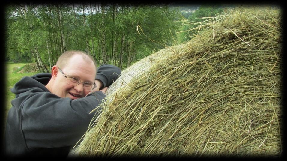 Složení rady k 1.9.2017: Mgr. Jan Soběslavský ředitel Diakonie ČCE Ing. Miloslav Běťák náměstek Diakonie ČCE Ing.