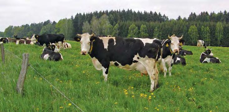 P PRO-BIO zavede nadstandardní certifikaci biopotravin pro své farmáře RO-BIO Svaz ekologických zemědělců na valné hromadě 19.