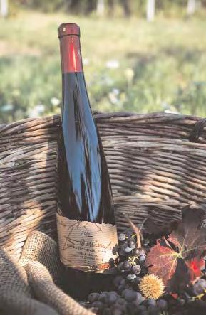 víno iskrivej farby s úžasnou prírodnou aromatikou a nezamenite nou odrodovou chu ou biovína, v aka dlhšiemu vyzrievaniu.