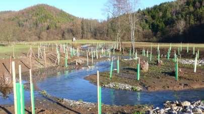 Revitalizace vodních toků a niv 100% Podpora přirozených korytotvorných procesů renaturace koryt vodních toků Velký