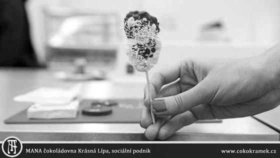 stránkách Krásné Lípy. Město vybírá květiny pro veřejná prostranství. Náš fotbalový palouček.