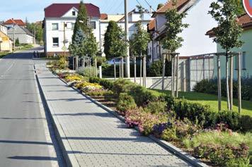 ZELEŇ.