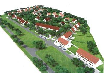 Svobody) Dosadba uhynulých a dalších stromů