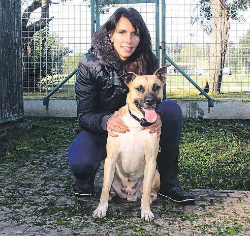 Není ale špatný ani zlý. Zkrátka musí mít disciplínu avýcvik, popisuje prvního z pejsků Andrea Ďurišová, která se chodí ozvířata do stanice pravidelně starat a dobře tak zná jejich povahy.