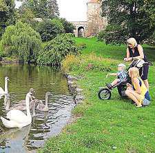 Největší pozornost však upoutává rybník, nakterém žijí kachny ataké šestičlenná labutí rodinka.