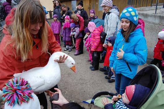 Novým provozem se v roce 2012 stalo Informační centrum, které vzniklo díky podpoře Ministerstva pro místní rozvoj.