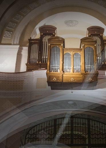 Unikátní koncert s divadelními prvky, ve kterém přední čeští virtuosové hrají nejen původní hudební party - aneb Co jste o Antoniovi možná nevěděli... Antonio Vivaldi.