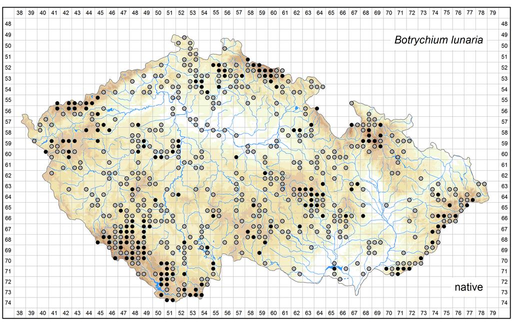 Distribution of Botrychium lunaria in the Czech Republic Author of the map: Libor Ekrt Map produced on: 06-02-2017 Database records used for producing the distribution map of Botrychium lunaria