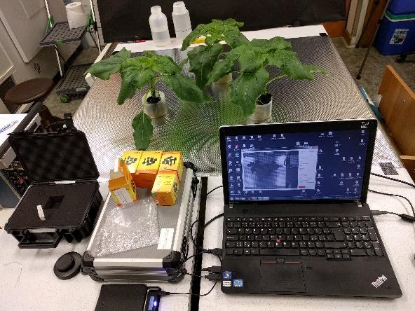 Podrobné studium specifického projevu