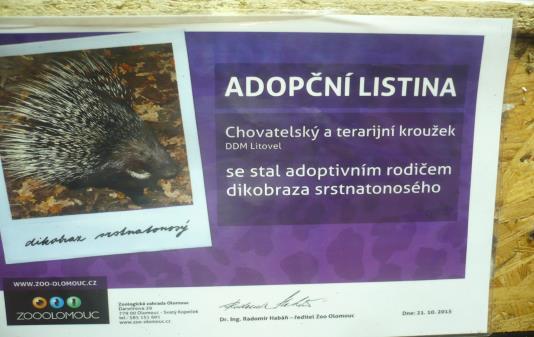 Na základě vyplněného formuláře pro adopci zvířete nám ZOO Olomouc vyhotovila smlouvu, adopční listinu, vystavila nám vstupenky a zajistila vše potřebné.