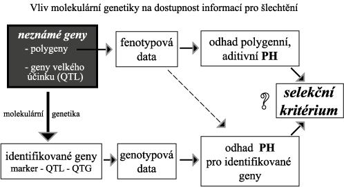 Závěr: Genetické zlešení ro daný šlechtitelský cíl může být očekáván určením selekční diference u selektovaných rodičů.