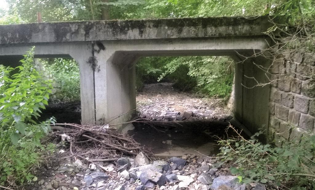 Panská zahrada již získala čestné uznání za druhé místo v enviromentální soutěži JMK a následně ocenění MŽP v rámci vyhodnocení dvaceti nejlepších projektů v republice.