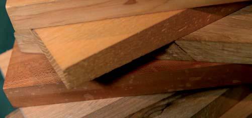 15. mezinárodní veletrh pro dřevozpracující a nábytkářský průmysl www.wood-tec.cz 31.10. - 3.11. 2017 VÝSTAVIŠTĚ BRNO ZÁVĚREČNÁ ZPRÁVA WOOD -TEC 2017 15.