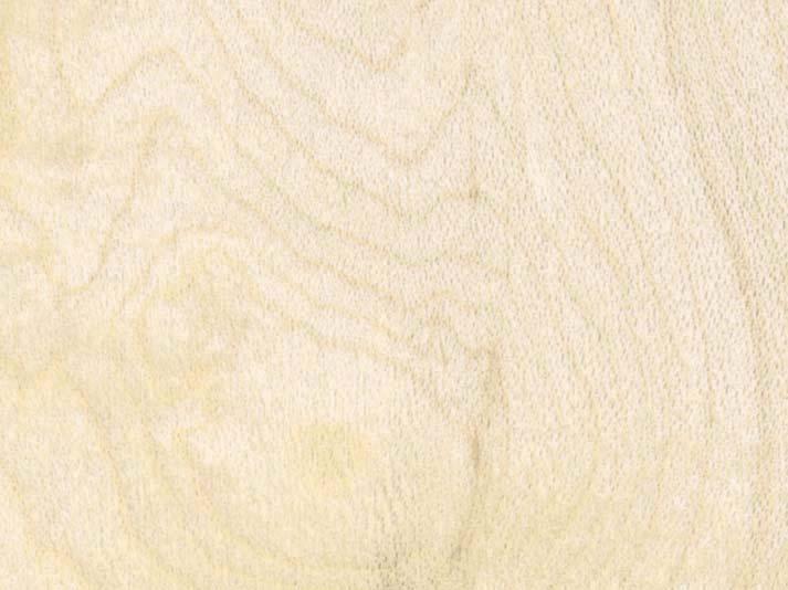 WOOD-TEC 2017 O VELETRHU ŘEKLI: Celková výstavní plocha v m 2 7359 Celkový počet vystavovatelů a zastoupených firem 317 Celkový počet prezentovaných značek 210 Počet zúčastněných zemí 18 * * Belgie,