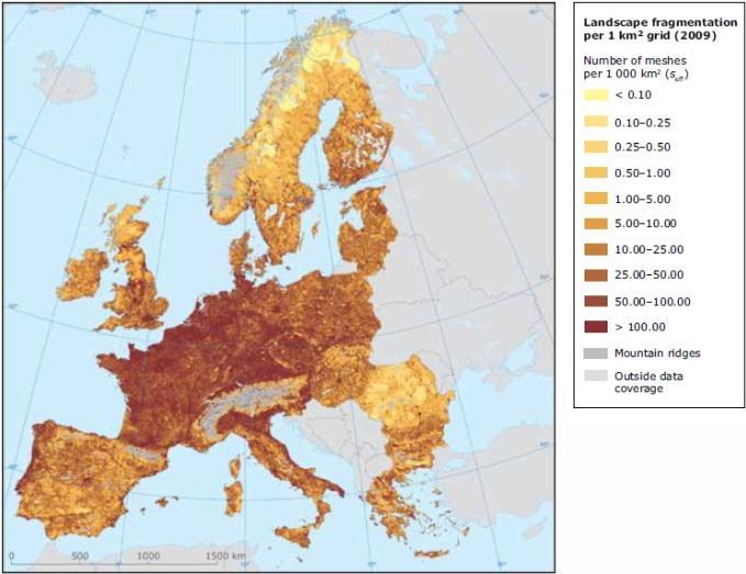 Vladimír Zýka: Fragmentace krajiny ČR dopravními stavbami - vývoj, současný stav a priority územní ochrany 72 Obrázek 48: Porovnání míry hustoty plošek v Evropě, střední Evropě a České republice