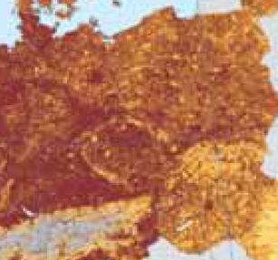 Zdroj: EEA, 2011; vlastní zpracování Hustota nefragmentovaných plošek zároveň vyjadřuje některé z rysů krajinné struktury.