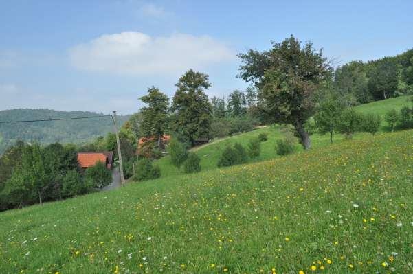 Plán péče pro přírodní památku NAD JASENKOU na období 2013 2023 Jiří