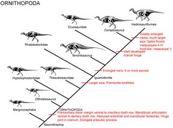 Ornitopoda: