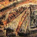 Sinosauropteryx