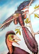 Oviraptor