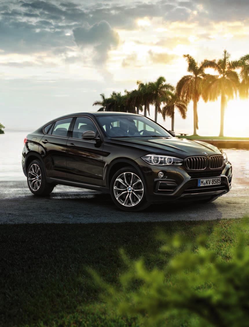 Radost z jízdy BMW X6 SE SERVICE